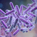 Otkrivena supstanca u morskoj bakteriji koja uništava ćelije raka