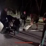 (VIDEO) Neman na putu: Aligator dug više od četiri metra zaustavio saobraćaj