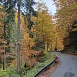 (VIDEO) Danas pretežno sunčano uz umjerenu oblačnost, do 17 stepeni