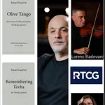 Muzika za gudački kvartet