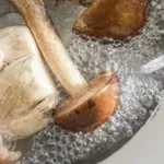 Ovo su namirnice koje nikako ne treba prati prije korišćenja