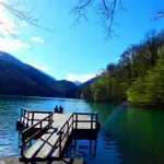 Predviđene rigorozne kazne za zločine protiv životne sredine: Za uznemiravanje životinja zatvor do godinu dana