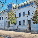 Na konkursu „Podgorica u mojim očima” pobijedilo šest đaka