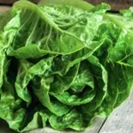 Zelena salata može da naškodi ako bolujete od ovih bolesti