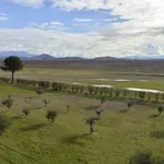 Menadžment "Plantaža": Godinu završavamo sa milionskim profitom