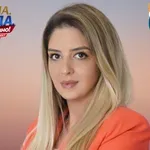 Todorović: Zirojeviću je najlakše da se bavi Srbijom