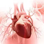 Kardiolozi otkrili popodnevne navike za bolji krvni pritisak