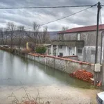 (Foto) Matica ušla u kuću