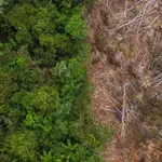 Poslanici opozicije podnijeli Predlog za ocjenu ustavnosti i zakonitosti člana 100 Zakona o klimatskim promjenama