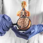 Ove životne navike značajno utiču na pojavu raka debelog crijeva