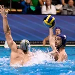 Primorac na iskušenju, Šabac stiže u Kotor