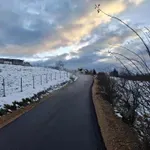 Putevi mokri, učestali sitniji odroni