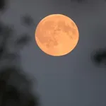 Mjesec je ušao u Djevicu, donosi odličan period za tri znaka