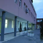 Željko Maraš v.d. direktora Instituta za bolesti djece