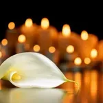 Preminula glumica iz serije "Grlom u jagode"