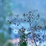 (VIDEO) Sjutra kiša, do 15 stepeni