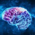 Mozak zadržava određeni stepen svijesti satima nakon smrti