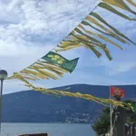 Kad balun poleti, zima prestaje: Na Prazniku mimoze održan deveti turnir u piciginu