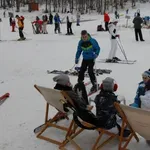 Vučje sve vidljivije na evropskoj turističkoj mapi