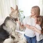 Kako pomoći djetetu da prevaziđe strah od psa i osjeti sigurnost