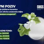 CBCG objavila konkurs za dizajn jubilarne kovanice u čast endemske biljke Petrolamium crnojevicii