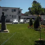 DRAMA U ŽITORAĐI: Četvorogodišnje dete progutalo mišomor tokom igre u dvorištu