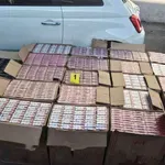 Kod Aleksinca zaplenjeno gotovo 10.000 paklica i 30.000 ručno pravljenih cigareta, uhapšen Beograđanin