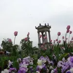 Niš otvara vrata svojih priča: Besplatne pešačke ture povodom Svetskog dana turističkih vodiča