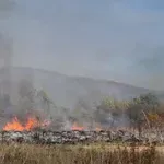 Požar na 35 hektara, evakuisano desetak osoba