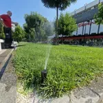 Leskovac: Nepoznati počinioci polomili prskalice na Gradskom trgu