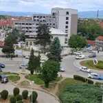 Dan oslobođenja Leskovca je 11. decembar 1877, a ne 11. oktobar 1944.