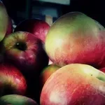 Pijačni barometar: Cene na niškim pijacama