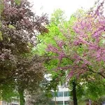 Vremenska prognoza: Promenljivo oblačno sa sunčanim intervalima