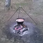 Praznik ukusa i tradicije pod niškim nebom - Međunarodni gastro-turistički festival