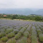 Vremenska prognoza: Toplo i nestabilno