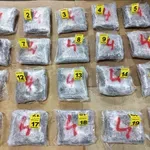 PAD ZBOG 21 KILOGRAM MARIHUANE: Hapšenje na auto-putu kod Niša