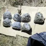 Maloletnik iz Niša osumnjičen za držanje 780 grama marihuane: Pronađeno i pet metaka