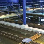 JKP Naissus: Glavni kvarovi i radovi na mreži