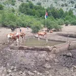Uz zahalnost JKP "Mediana", hitna pomoć stočarima na Rakošu nije dovoljna - potrebno trajno rešenje vodosnabdevanja na Suvoj planini