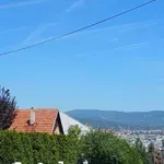 Niš danas na udaru velike vrućine: Temperatura se približava 40 stepeni