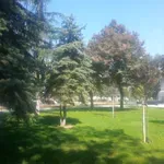 Vremenska prognoza: Pretežno sunčano i toplo