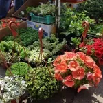 Vremenska prognoza: U četvrtak sunčano i toplije u Srbiji, u Nišu do 16 stepeni