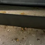 Pokret za narod i državu u Nišu: Peti napad na prostorije