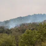 Požar kod Bovanskog jezera zahvatio vikend-naselje, izgorele tri vikendice