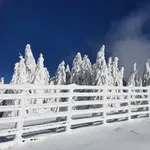 Danas počinje zima - najkraći dan i najduža noć u godini