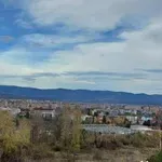 Tesla park ponovo pokrenuo postupak protiv Milenković Kerković, ona traži moratorijum na gradnju u Nišu
