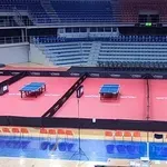 Evropski stoni tenis u srcu Niša: Čair centar borbe za prestižni trofej