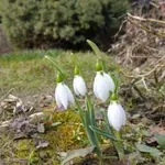 Vremenska prognoza: Petak sunčan i topao