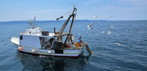 Slovenski ribiči doslej prejeli 48 kazni iz Hrvaške