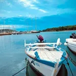 V hrvaški Istri opazili več primerkov izjemno strupene ribe